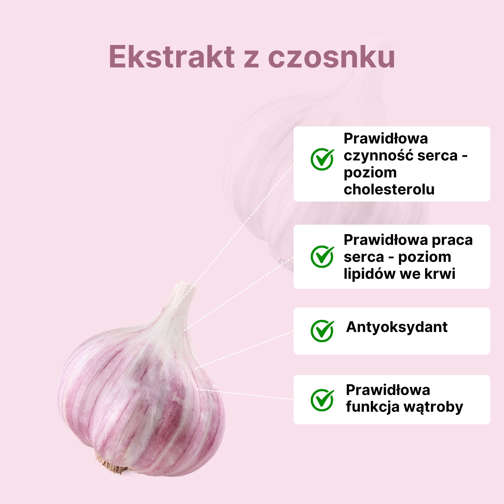 (Polština) - 2024-08-13T123442.518